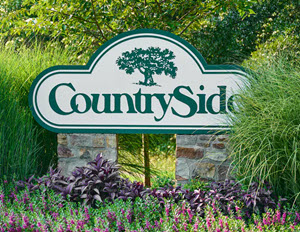 marriage counseling countryside va