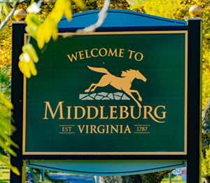 marriage counseling middleburg va