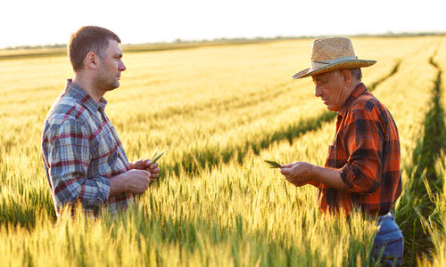 Two farmers in the field who don't trust each other.
