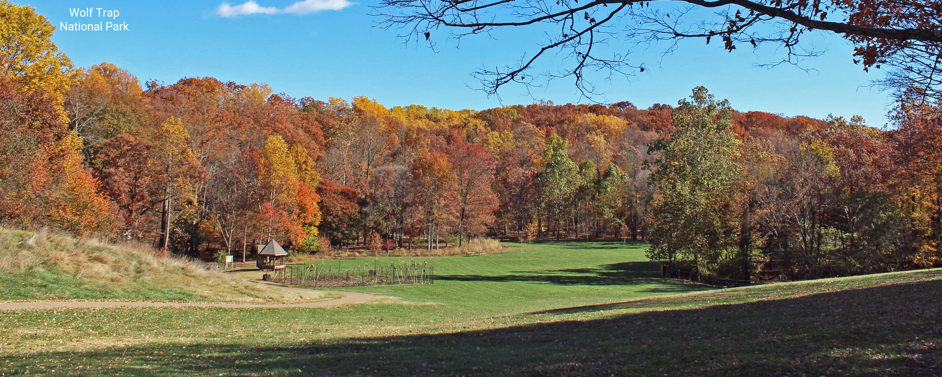 Wolf Trap VA Couples Counseling Alt