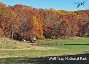 Marriage Counseling Wolf Trap